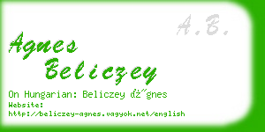 agnes beliczey business card